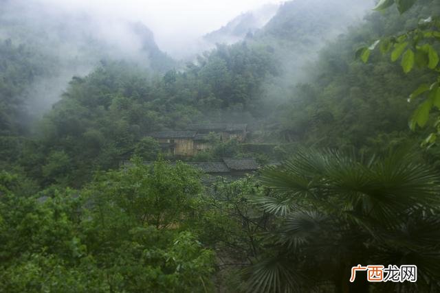 中国最大的黑水虻公司,一斤黑水虻的养殖成本