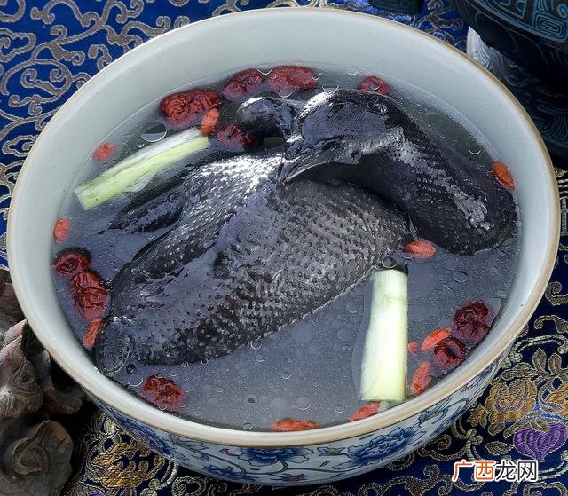 中国最大的黑水虻公司,一斤黑水虻的养殖成本