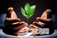 接力奋斗 创业的艰辛的励志文章