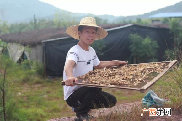 烤红薯叫卖录音简单 卖玉米歌