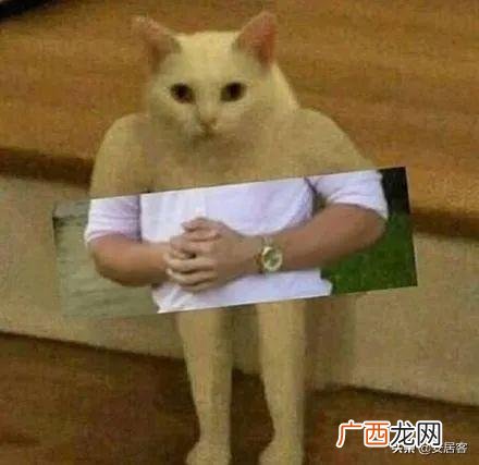 用身份证贷款能贷多少,有房贷还可以去银行贷款吗