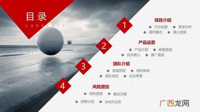 项目案例分享ppt,创新创业成功案例ppt