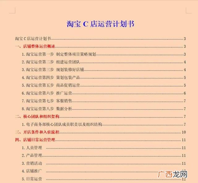 创建公司商业计划书 新公司运营计划书