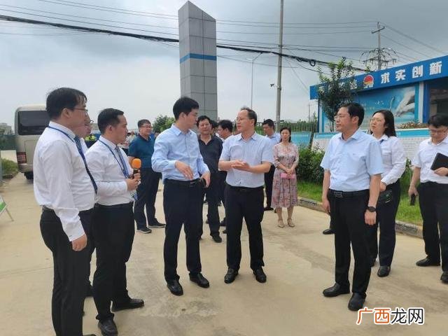 项目简介100字范本,项目概述怎么写模板