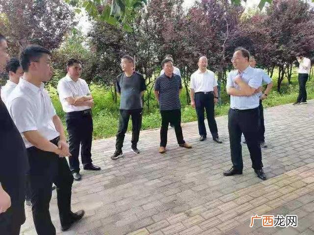 项目简介100字范本,项目概述怎么写模板