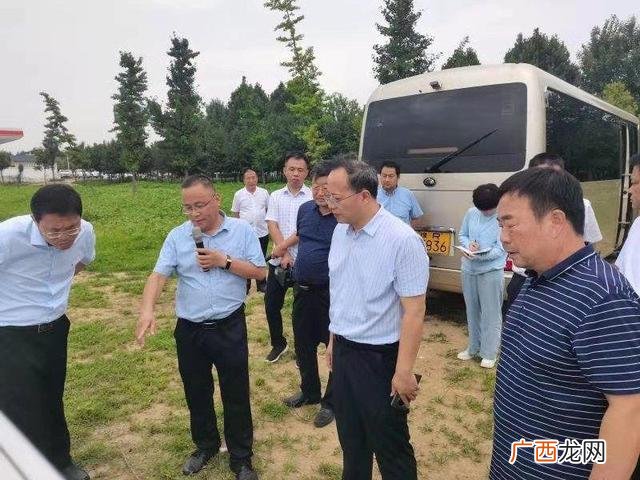 项目简介100字范本,项目概述怎么写模板