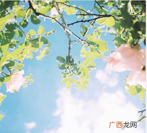 暖心励志经典语录 创业语录经典语录迷茫
