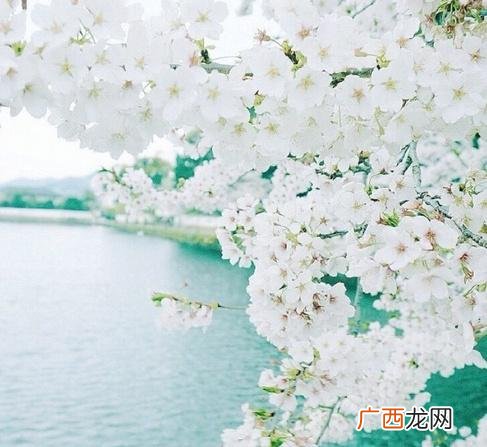 暖心励志经典语录 创业语录经典语录迷茫