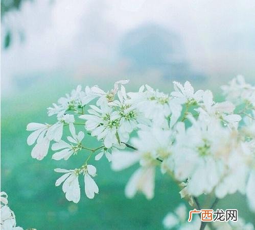 暖心励志经典语录 创业语录经典语录迷茫