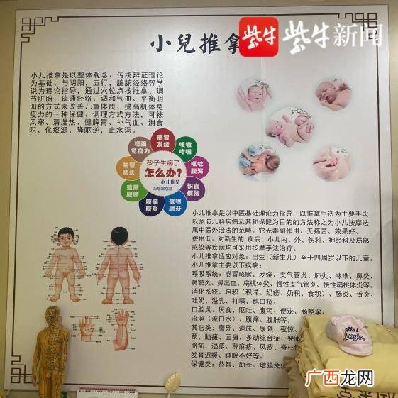 项目名称怎么起 项目名称指的什么