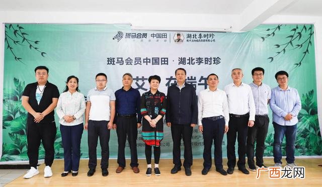 蕲春艾条要多少钱一盒 湖北蕲春的艾灸厂家