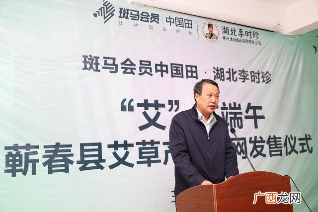 蕲春艾条要多少钱一盒 湖北蕲春的艾灸厂家