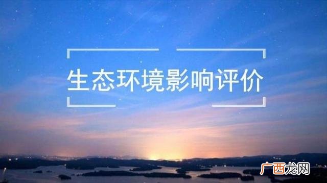 评估报告格式文库,评估报告模板
