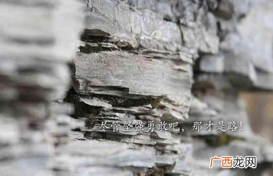 女人要好好创业的短句子,激励女人创业的句子