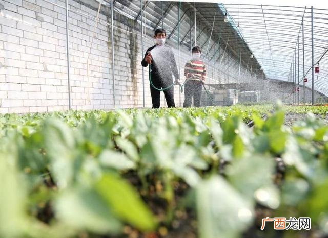 泰安中凯 北京中凯创业通信科技有限公司