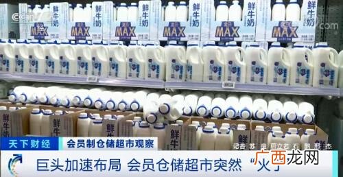 实体店项目种类,家具店创业计划书