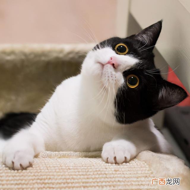 女生学工程管理好还是工程造价好,女生学工程管理专业怎么样