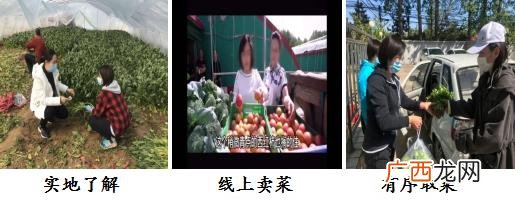 精品蔬菜怎么销售 大棚蔬菜的销售渠道