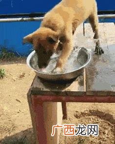 普通人去上海干什么挣钱 上海创业