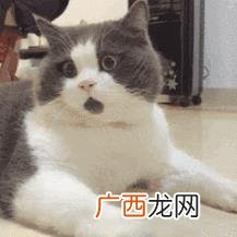 普通人去上海干什么挣钱 上海创业