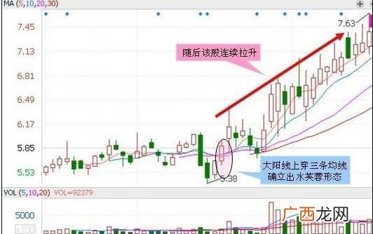 股票买多少股最划算,新手2000元可以炒股吗