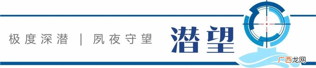 项目预期收益分析报告,项目风险规避及未来收益报告