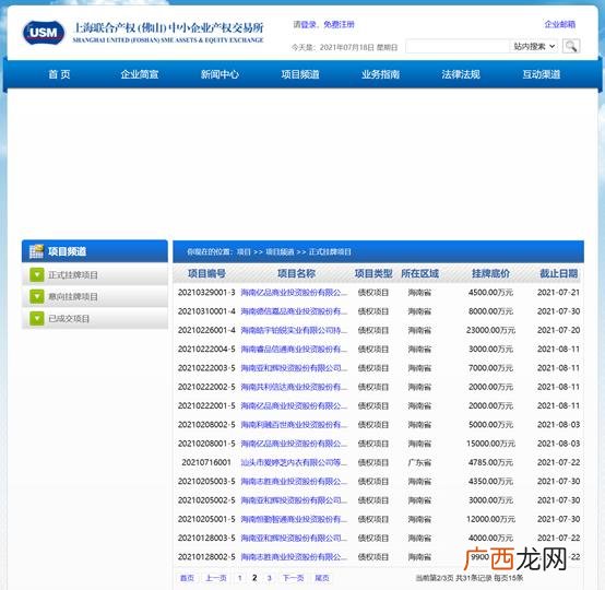 项目预期收益分析报告,项目风险规避及未来收益报告