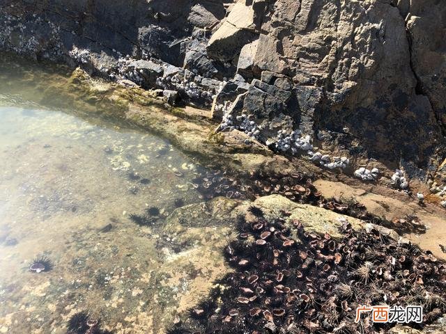 带孩子自驾游 12岁女孩适合去哪里旅游