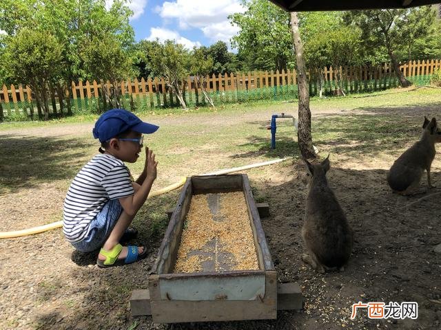 带孩子自驾游 12岁女孩适合去哪里旅游