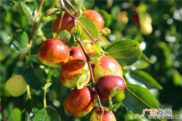 白手起家22个创业案例 白手起家创业案例