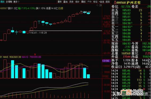 贵州茅台投资价值分析 某公司投资价值预测分析