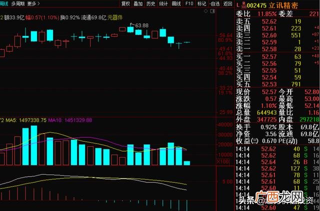贵州茅台投资价值分析 某公司投资价值预测分析
