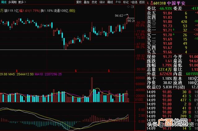 贵州茅台投资价值分析 某公司投资价值预测分析