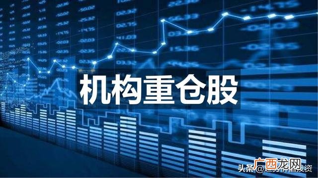 贵州茅台投资价值分析 某公司投资价值预测分析