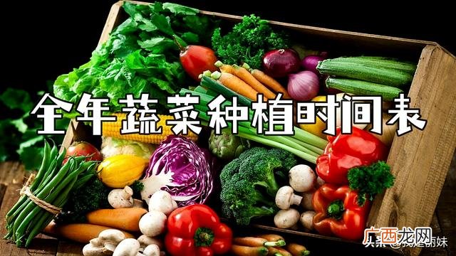 浙江现在适合种什么菜,现在季节种什么好