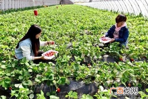 生意好项目 未来热门的创业生意