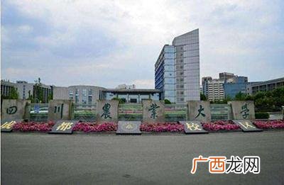 电子科技大学成都学院 东软创业大学