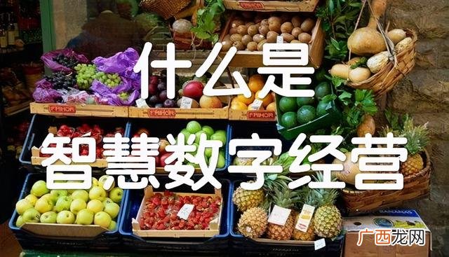 代理招商网免费加盟 网络项目代理加盟招商
