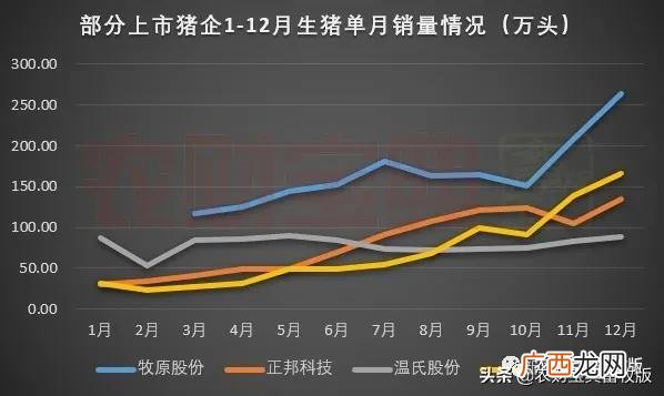 种猪上市公司有哪些 养猪企业上市公司有哪些