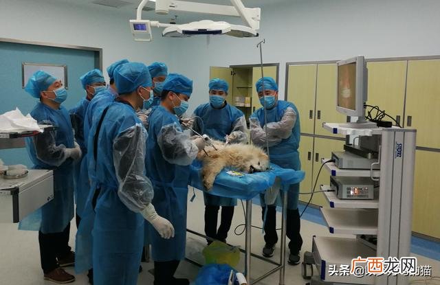最容易考的十大证书 冷门的证书