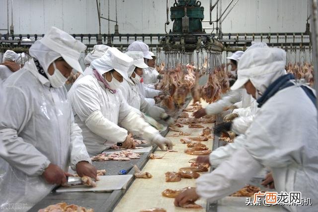 在家办个小型加工厂 加工厂加盟项目招商