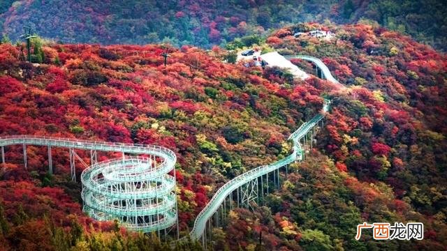 适合旅游的创业项目 旅游创业好项目有哪些