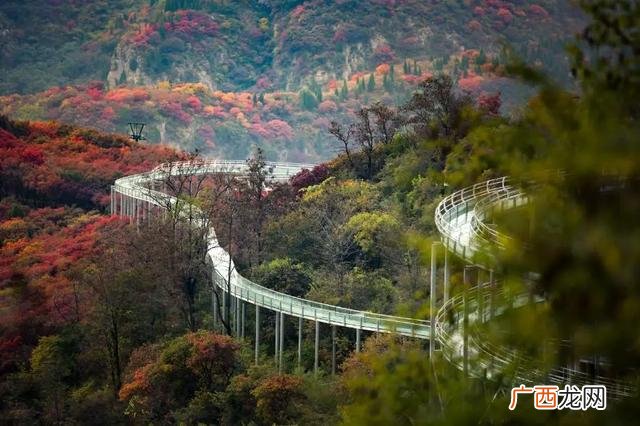 适合旅游的创业项目 旅游创业好项目有哪些
