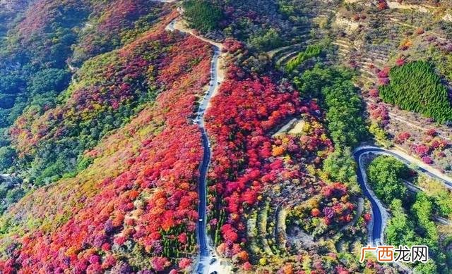 适合旅游的创业项目 旅游创业好项目有哪些