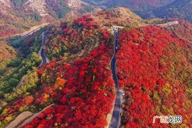 适合旅游的创业项目 旅游创业好项目有哪些