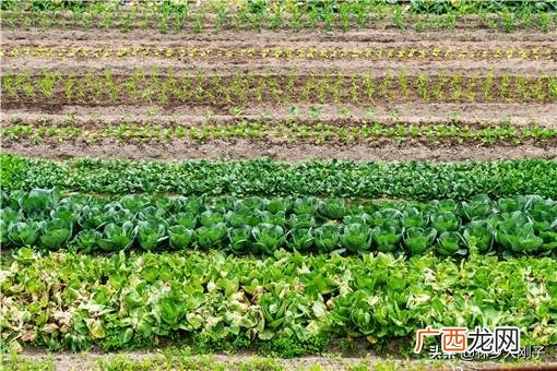 小型加工致富项目 农民创业好项目网