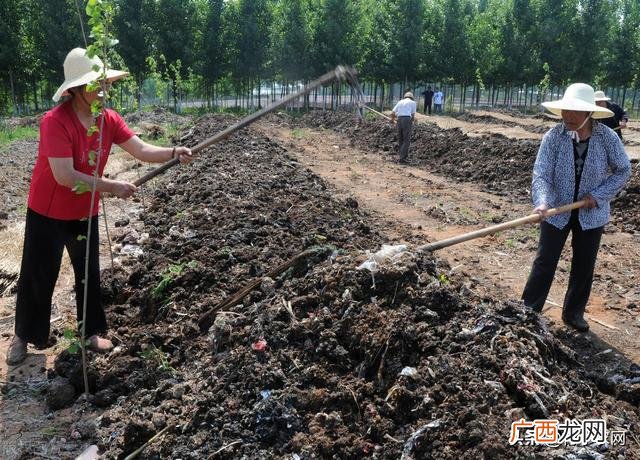 农村搞什么养殖好赚钱,农村适合养什么创业