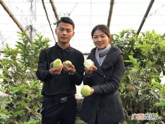 农村搞什么养殖好赚钱,农村适合养什么创业