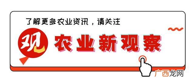3千元致富小机器图片 创业机器设备
