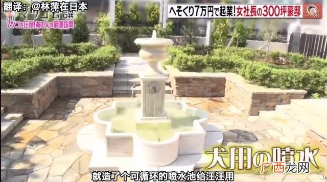 创业成功人士的案例简短,离婚女人创业成功的事迹